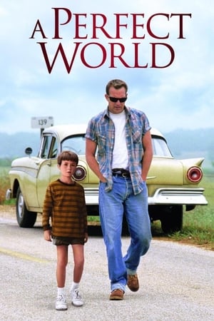 A Perfect World 1993 Hindi Dual Audio [940MB]