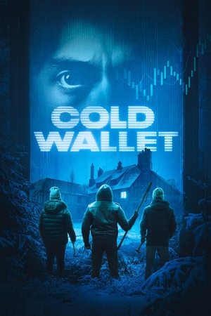 Cold Wallet (2025) Hindi (MULTI AUDIO) – – 1080p