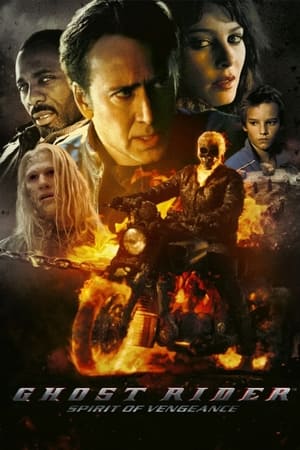 Ghost Rider: Spirit of Vengeance (2011) Hindi Dual Audio 300MB