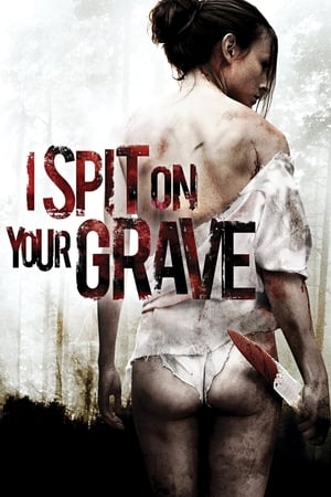I Spit on Your Grave 2010 Hindi Dual Audio [1.1GB]