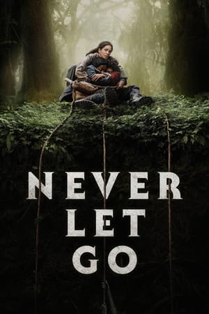 Never Let Go 2024 Hindi Dual Audio – 720p –