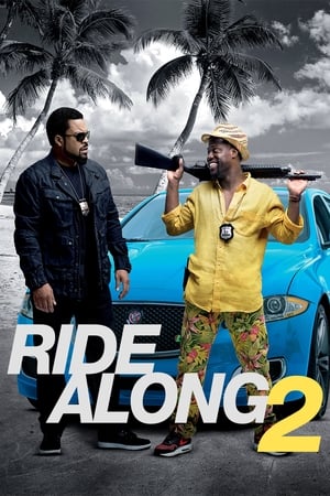 Ride Along 2 2016 Hindi Dual Audio 330MB