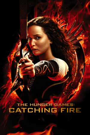 The Hunger Games Catching Fire 2013 Hindi Dual Audio [1.1GB]