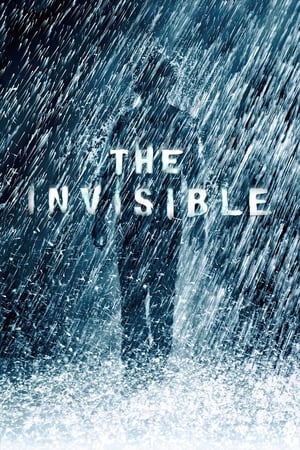 The Invisible 2007 Hindi Dual Audio 300MB