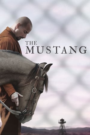 The Mustang (2019) Hindi Dual Audio [900MB]